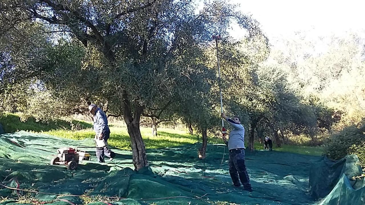 Eleas Gi Villa Vitalades Bagian luar foto