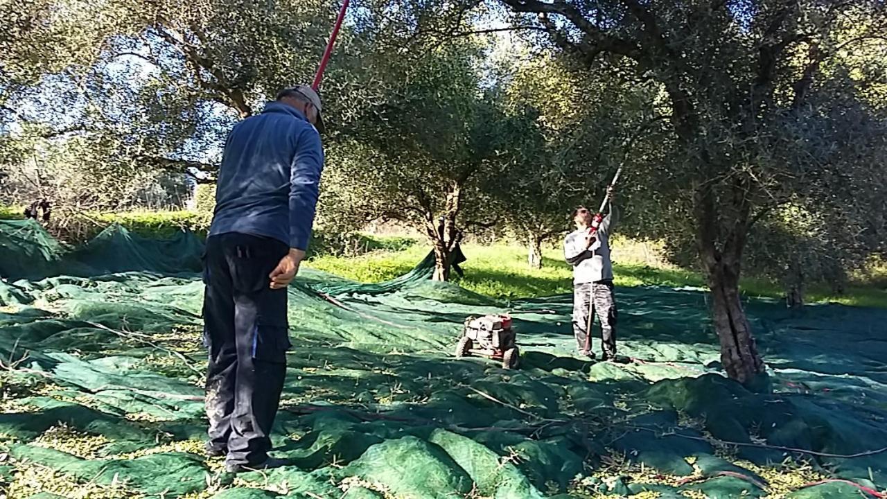 Eleas Gi Villa Vitalades Bagian luar foto